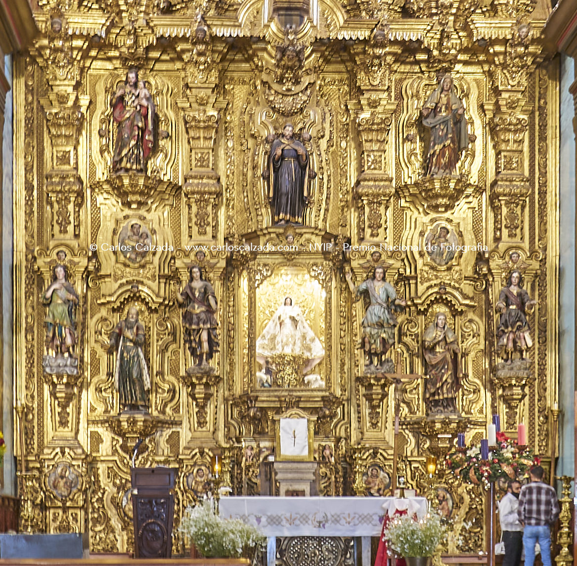 dic. 09 2022 - DSC08991.png